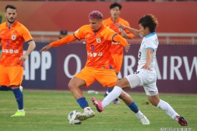 关于山东泰山内部会议纪要流出——集结日遗憾出局，意甲使命明确，球探报告显示潜力的信息-mk体育网址